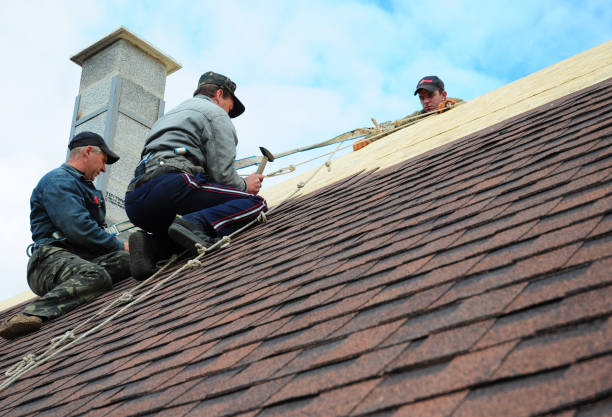 Best Residential Roofing Contractor  in River Falls, WI