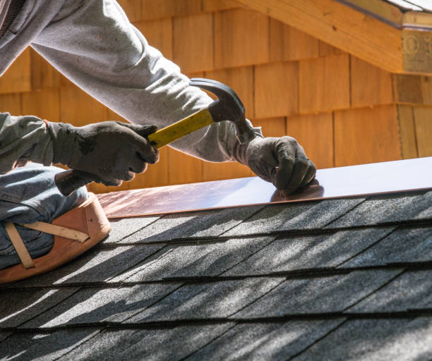 Best Roof Gutter Cleaning  in River Falls, WI